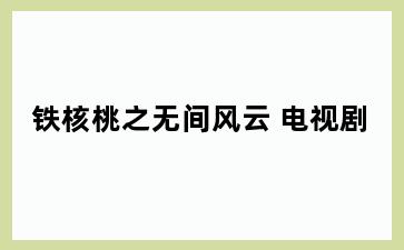 铁核桃之无间风云 电视剧